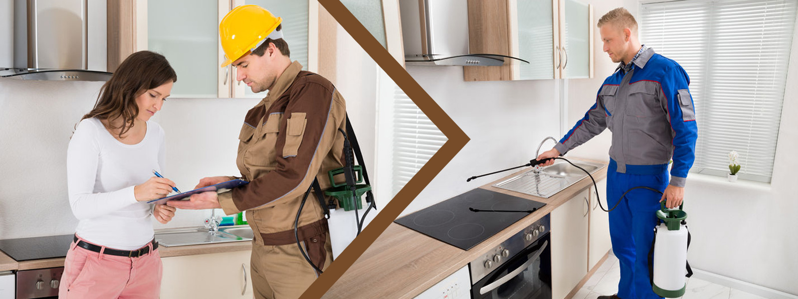 Top 5 Things You Need To Know Before Hiring A Pest Control Company