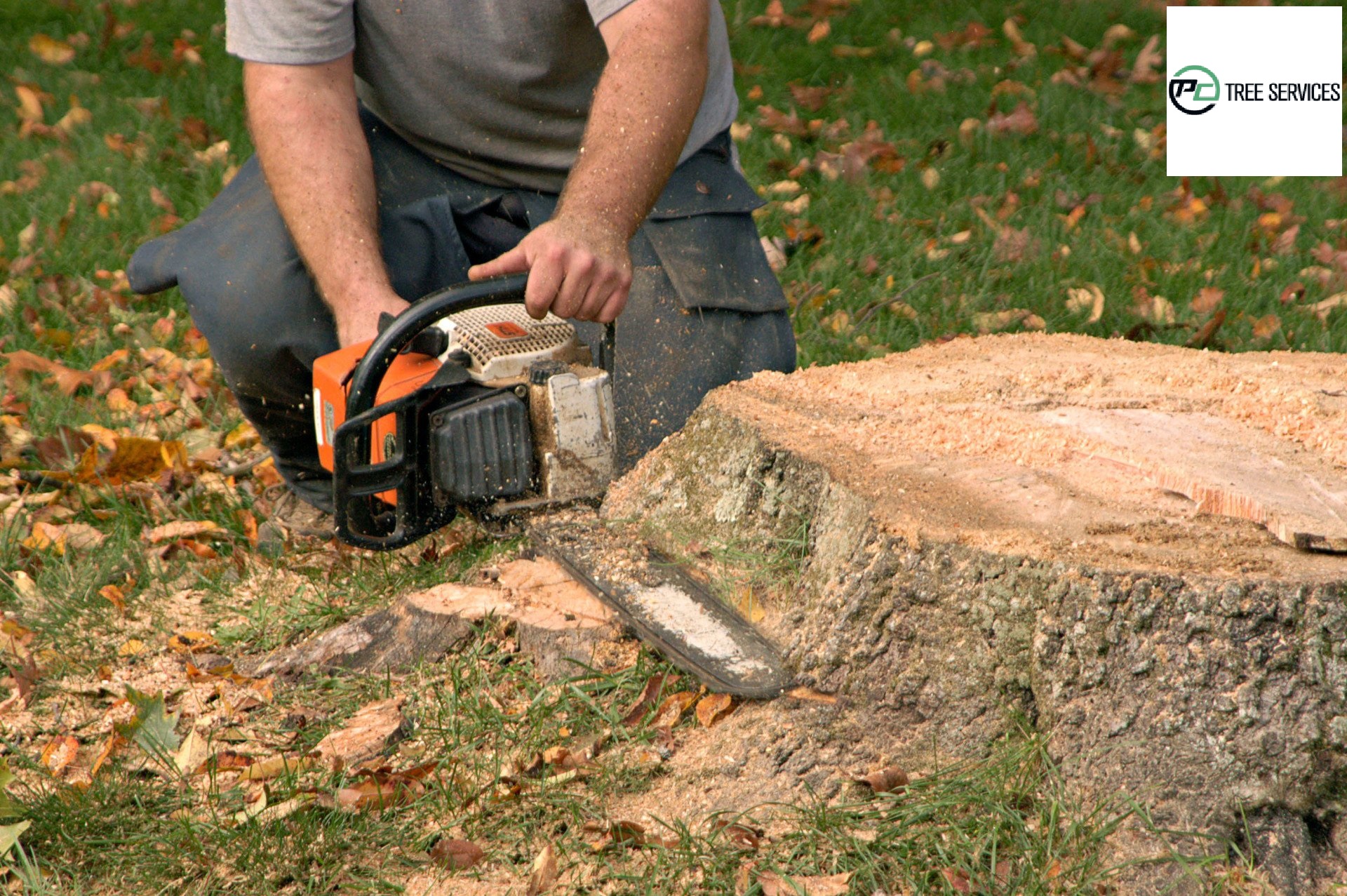 Core Reasons To Hire Professionals For Stump Removal Service