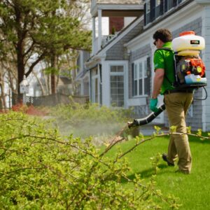 Mosquito Control Cape Cod