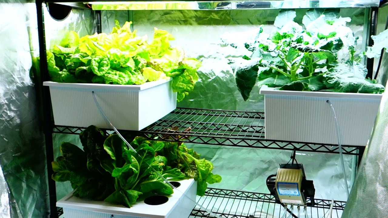 Hydroponic Suppliers Central Coast